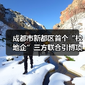 成都市新都區(qū)首個“校地企”三方聯(lián)合引博項目通過期中評估（圖3）