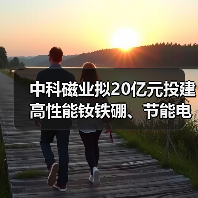 中科磁業(yè)擬20億元投建高性能釹鐵硼、節(jié)能電機磁瓦及粘結(jié)磁項目（圖4）