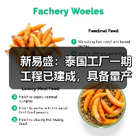 新易盛：泰國工廠一期工程已建成，具備量產(chǎn)條件（圖3）