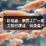新易盛：泰國工廠一期工程已建成，具備量產(chǎn)條件（圖1）