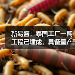新易盛：泰國工廠一期工程已建成，具備量產(chǎn)條件（圖4）