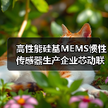 高性能硅基MEMS慣性傳感器生產(chǎn)企業(yè)芯動(dòng)聯(lián)科上交所科創(chuàng)板上市(圖3) 高性能硅基MEMS慣性傳感器生產(chǎn)企業(yè)芯動(dòng)聯(lián)科上交所科創(chuàng)板上市(圖3)