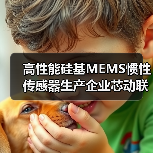 高性能硅基MEMS慣性傳感器生產(chǎn)企業(yè)芯動(dòng)聯(lián)科上交所科創(chuàng)板上市(圖4) 高性能硅基MEMS慣性傳感器生產(chǎn)企業(yè)芯動(dòng)聯(lián)科上交所科創(chuàng)板上市(圖4)