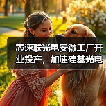 芯速聯(lián)光電安徽工廠開業(yè)投產(chǎn)，加速硅基光電子在光模塊行業(yè)的應用（圖4）
