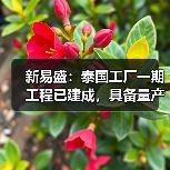 新易盛：泰國工廠一期工程已建成，具備量產(chǎn)條件（圖4）