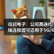 得潤(rùn)電子：公司高速傳輸連接器可適用于5G/6G通訊網(wǎng)絡(luò)（圖3）