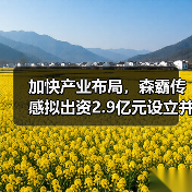 加快產(chǎn)業(yè)布局，森霸傳感擬出資2.9億元設(shè)立并購基金（圖3）