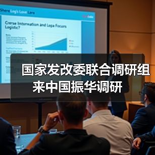 國家發(fā)改委聯(lián)合調研組來中國振華調研（圖3）