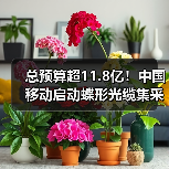 總預(yù)算超11.8億！中國移動啟動蝶形光纜集采（圖3）