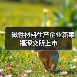 磁性材料生產(chǎn)企業(yè)新萊福深交所上市（圖1）
