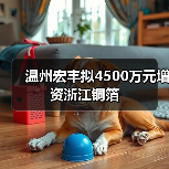 溫州宏豐擬4500萬元增資浙江銅箔（圖1）