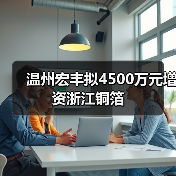 溫州宏豐擬4500萬元增資浙江銅箔（圖3）