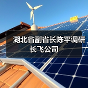 湖北省副省長陳平調(diào)研長飛公司（圖1）