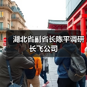 湖北省副省長陳平調(diào)研長飛公司（圖3）