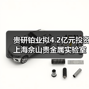 貴研鉑業(yè)擬4.2億元投資上海佘山貴金屬實(shí)驗(yàn)室創(chuàng)新平臺及新材料產(chǎn)業(yè)園(圖4) 貴研鉑業(yè)擬4.2億元投資上海佘山貴金屬實(shí)驗(yàn)室創(chuàng)新平臺及新材料產(chǎn)業(yè)園(圖4)