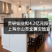 貴研鉑業(yè)擬4.2億元投資上海佘山貴金屬實(shí)驗(yàn)室創(chuàng)新平臺及新材料產(chǎn)業(yè)園(圖2) 貴研鉑業(yè)擬4.2億元投資上海佘山貴金屬實(shí)驗(yàn)室創(chuàng)新平臺及新材料產(chǎn)業(yè)園(圖2)
