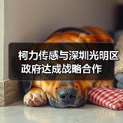 柯力傳感與深圳光明區(qū)政府達(dá)成戰(zhàn)略合作（圖3）