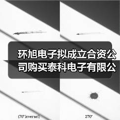環(huán)旭電子擬成立合資公司購買泰科電子有限公司汽車無線業(yè)務(wù)(圖3) 環(huán)旭電子擬成立合資公司購買泰科電子有限公司汽車無線業(yè)務(wù)(圖3)