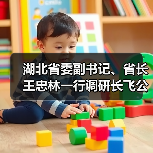湖北省委副書記、省長王忠林一行調(diào)研長飛公司（圖4）