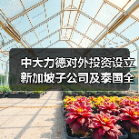 中大力德對外投資設(shè)立新加坡子公司及泰國全資孫公司(圖2) 中大力德對外投資設(shè)立新加坡子公司及泰國全資孫公司(圖2)