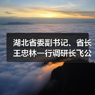 湖北省委副書記、省長王忠林一行調(diào)研長飛公司（圖2）