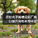 濱松光子將建設(shè)新廠(chǎng)房，以提升光電半導(dǎo)體器件的后道工序能力（圖3）