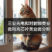 三安光電擬對射頻類業(yè)務(wù)和光芯片類業(yè)務(wù)分別進(jìn)行整合(圖3) 三安光電擬對射頻類業(yè)務(wù)和光芯片類業(yè)務(wù)分別進(jìn)行整合(圖3)