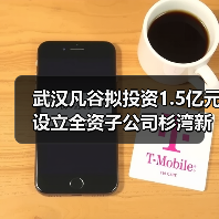 武漢凡谷擬投資1.5億元設(shè)立全資子公司杉灣新陶瓷（圖3）