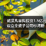 武漢凡谷擬投資1.5億元設(shè)立全資子公司杉灣新陶瓷（圖4）
