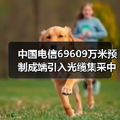 中國(guó)電信69609萬(wàn)米預(yù)制成端引入光纜集采中標(biāo)公示：12家廠商入圍（圖3）