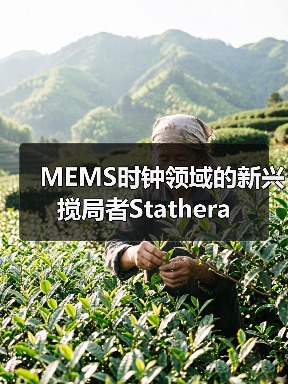 MEMS時(shí)鐘領(lǐng)域的新興攪局者Stathera（圖3）