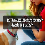 長(zhǎng)飛巴西通信光纜生產(chǎn)基地順利投產(chǎn)(圖3) 長(zhǎng)飛巴西通信光纜生產(chǎn)基地順利投產(chǎn)(圖3)