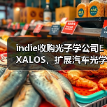indie收購(gòu)光子學(xué)公司EXALOS，擴(kuò)展汽車(chē)光學(xué)與傳感業(yè)務(wù)（圖4）
