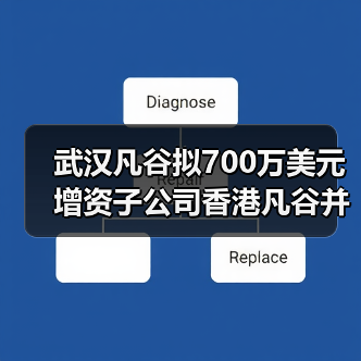 武漢凡谷擬700萬(wàn)美元增資子公司香港凡谷并在越南設(shè)立子公司(圖2) 武漢凡谷擬700萬(wàn)美元增資子公司香港凡谷并在越南設(shè)立子公司(圖2)