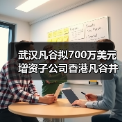武漢凡谷擬700萬(wàn)美元增資子公司香港凡谷并在越南設(shè)立子公司(圖3) 武漢凡谷擬700萬(wàn)美元增資子公司香港凡谷并在越南設(shè)立子公司(圖3)