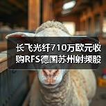 長(zhǎng)飛光纖710萬(wàn)歐元收購(gòu)RFS德國(guó)蘇州射頻股權(quán)（圖1）