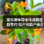富樂德半導體傳感器項目簽約 投產將助產值達20億(圖4) 富樂德半導體傳感器項目簽約 投產將助產值達20億(圖4)