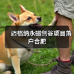 邁格納永磁創(chuàng)谷項(xiàng)目落戶(hù)合肥(圖1) 邁格納永磁創(chuàng)谷項(xiàng)目落戶(hù)合肥(圖1)