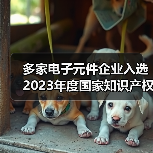 多家電子元件企業(yè)入選2023年度國家知識產(chǎn)權示范企業(yè)和優(yōu)秀企業(yè)（圖4）