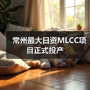 常州最大日資MLCC項目正式投產(chǎn)（圖1）