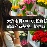 大洋電機(jī)1000萬投資新能源產(chǎn)業(yè)基金，協(xié)同效應(yīng)如何釋放？（圖3）