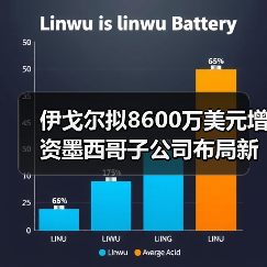 伊戈爾擬8600萬美元增資墨西哥子公司布局新能源基地（圖1）