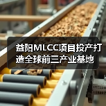 益陽MLCC項目投產(chǎn)打造全球前三產(chǎn)業(yè)基地(圖4) 益陽MLCC項目投產(chǎn)打造全球前三產(chǎn)業(yè)基地(圖4)