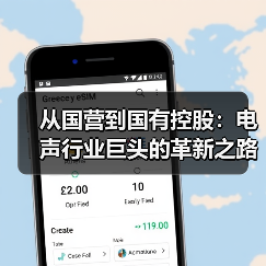 從國(guó)營(yíng)到國(guó)有控股：電聲行業(yè)巨頭的革新之路（圖2）
