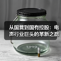 從國(guó)營(yíng)到國(guó)有控股：電聲行業(yè)巨頭的革新之路（圖3）