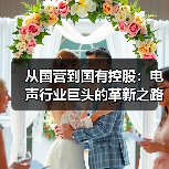 從國(guó)營(yíng)到國(guó)有控股：電聲行業(yè)巨頭的革新之路（圖4）