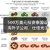 500萬美元投資泰國設(shè)海外子公司，仕佳光子布局全球市場（圖4）