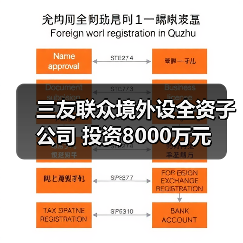 三友聯(lián)眾境外設(shè)全資子公司 投資8000萬元（圖1）