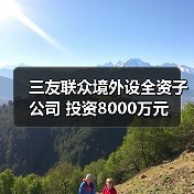 三友聯(lián)眾境外設(shè)全資子公司 投資8000萬元（圖2）